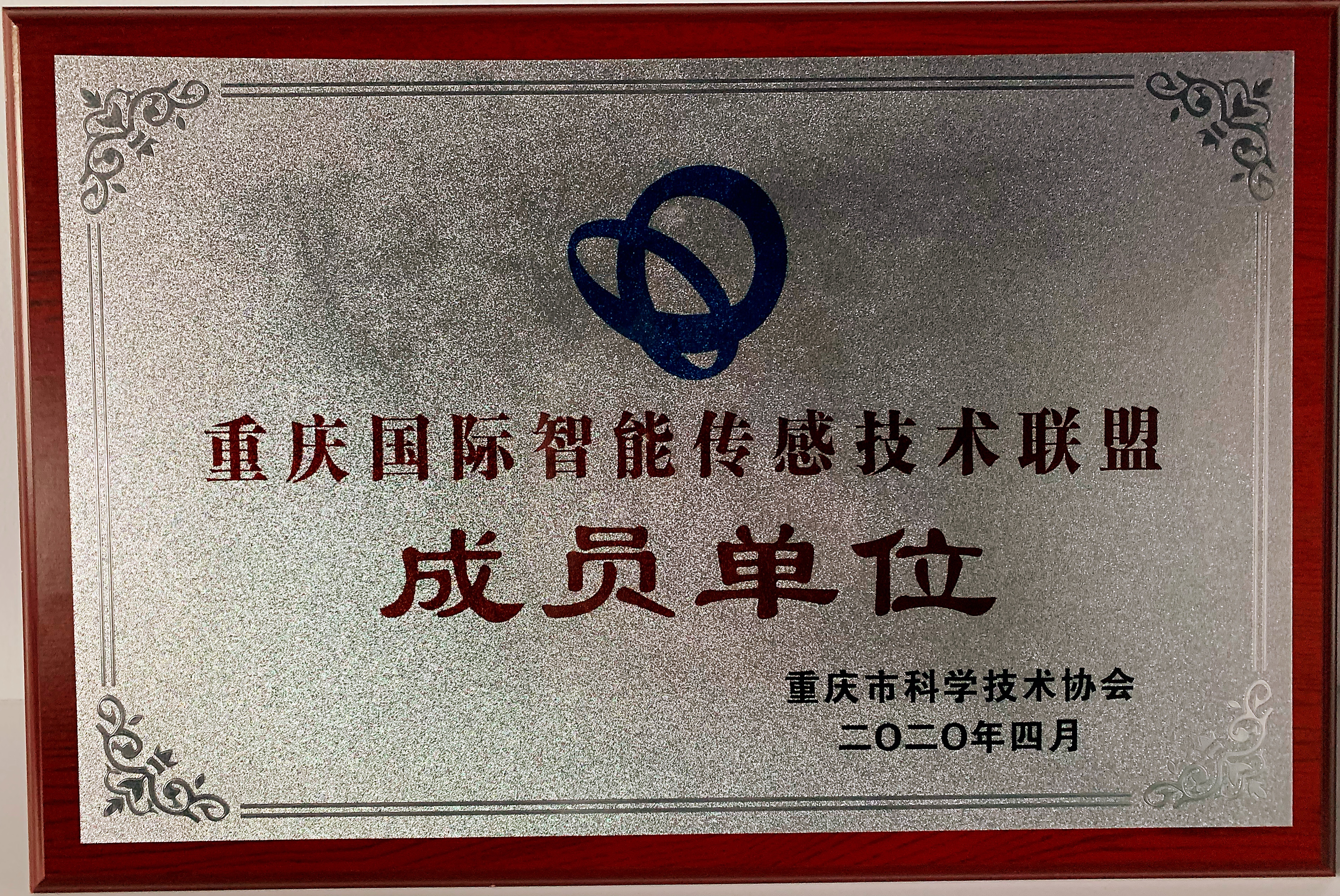 重庆国际智能传感技术联盟理事单位