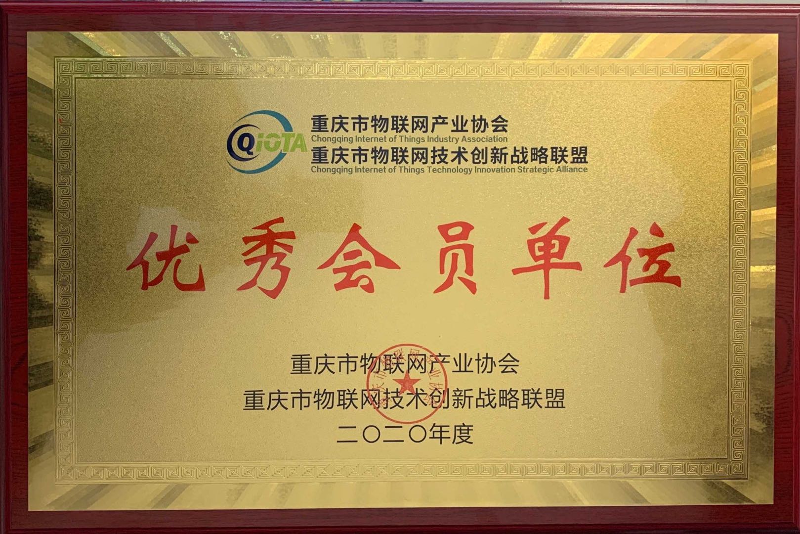 重庆市物联网产业协会优秀会员单位